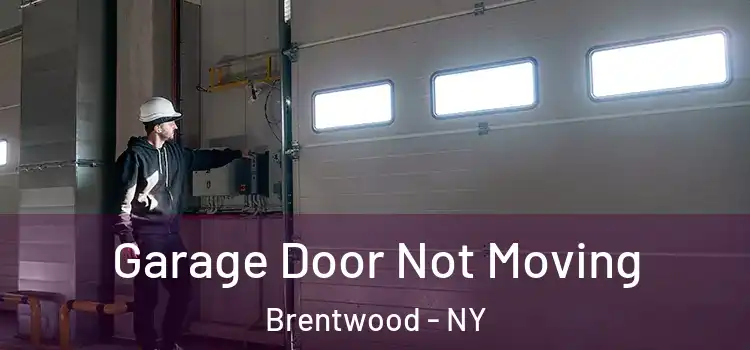  Garage Door Not Moving Brentwood - NY